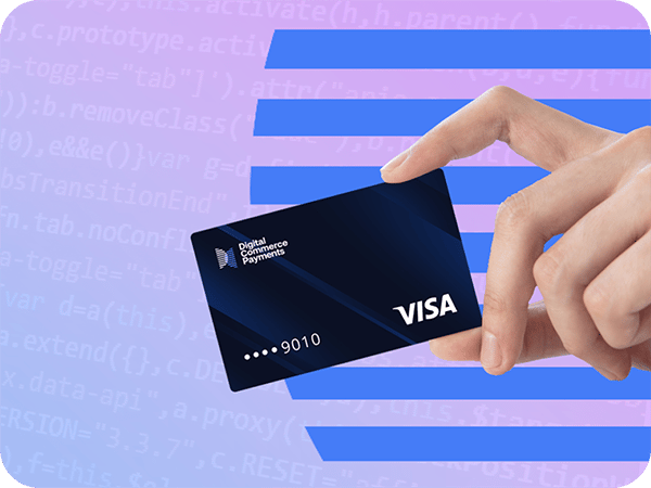 visa-resized