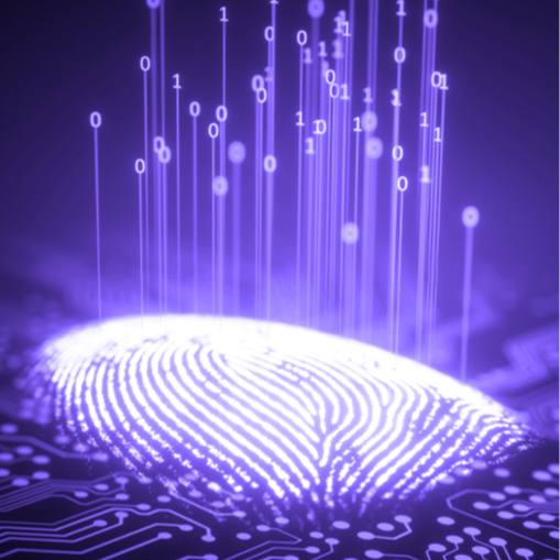 IdentitySolutions-KeyFeatures-Final-1-1